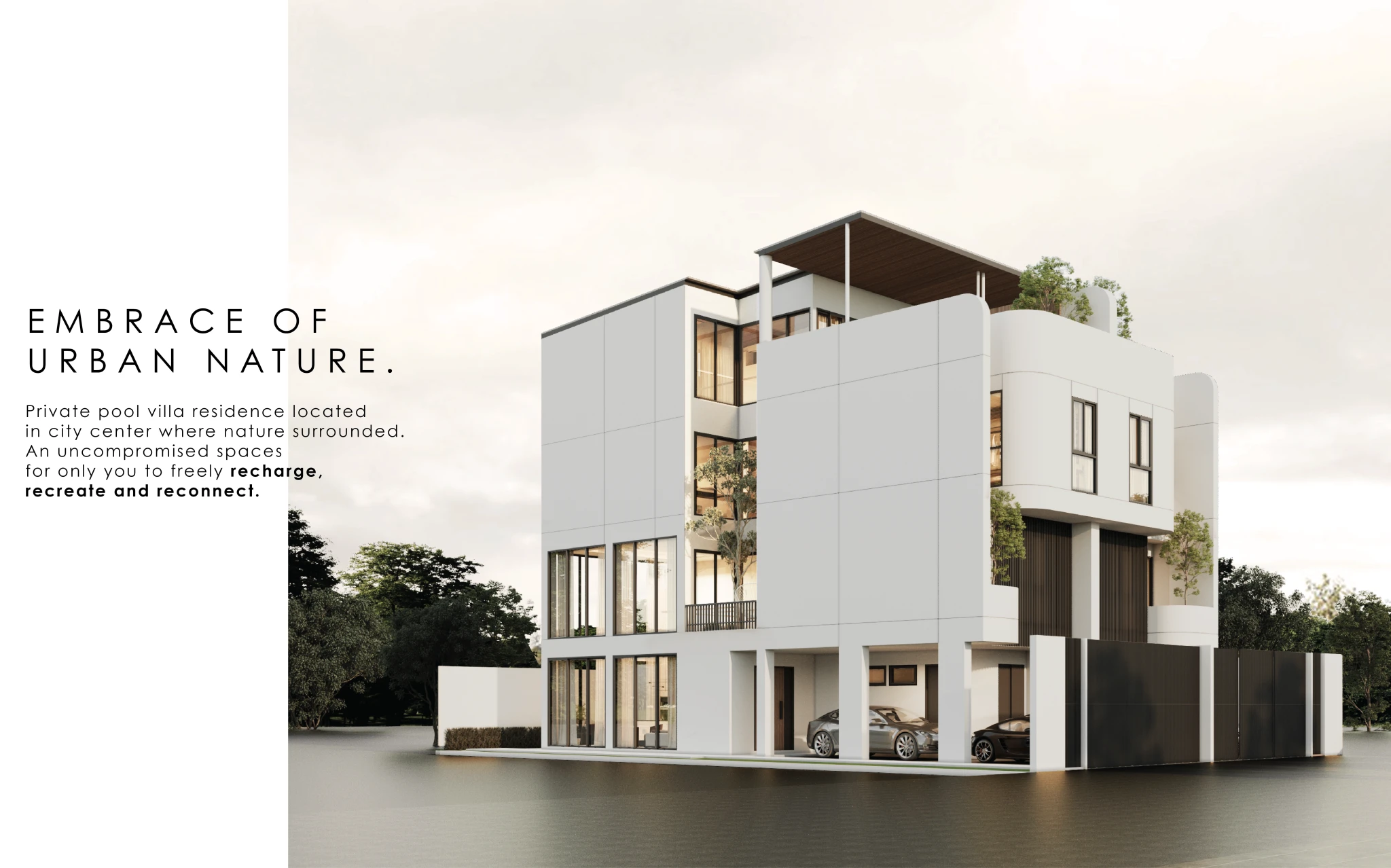 รูปภาพ ร่มเงา 101 (The Shade 101)