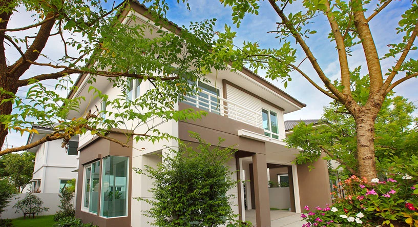 รูปภาพ ชัยพฤกษ์ ปิ่นเกล้า - สาย 5 (Chaiyapruk Pinklao-Sai 5)