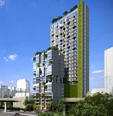 รูปภาพ ไซมิส ราชครู (Siamese RatchaKru)