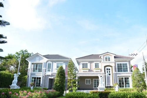 โกลเด้น นีโอ เฟรเซอร์ส