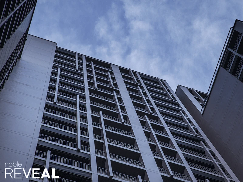 โนเบิล รีวีล โนเบิลดีเวลลอปเม้นท์ โนเบิล รีวีล โนเบิลดีเวลลอปเม้นท์