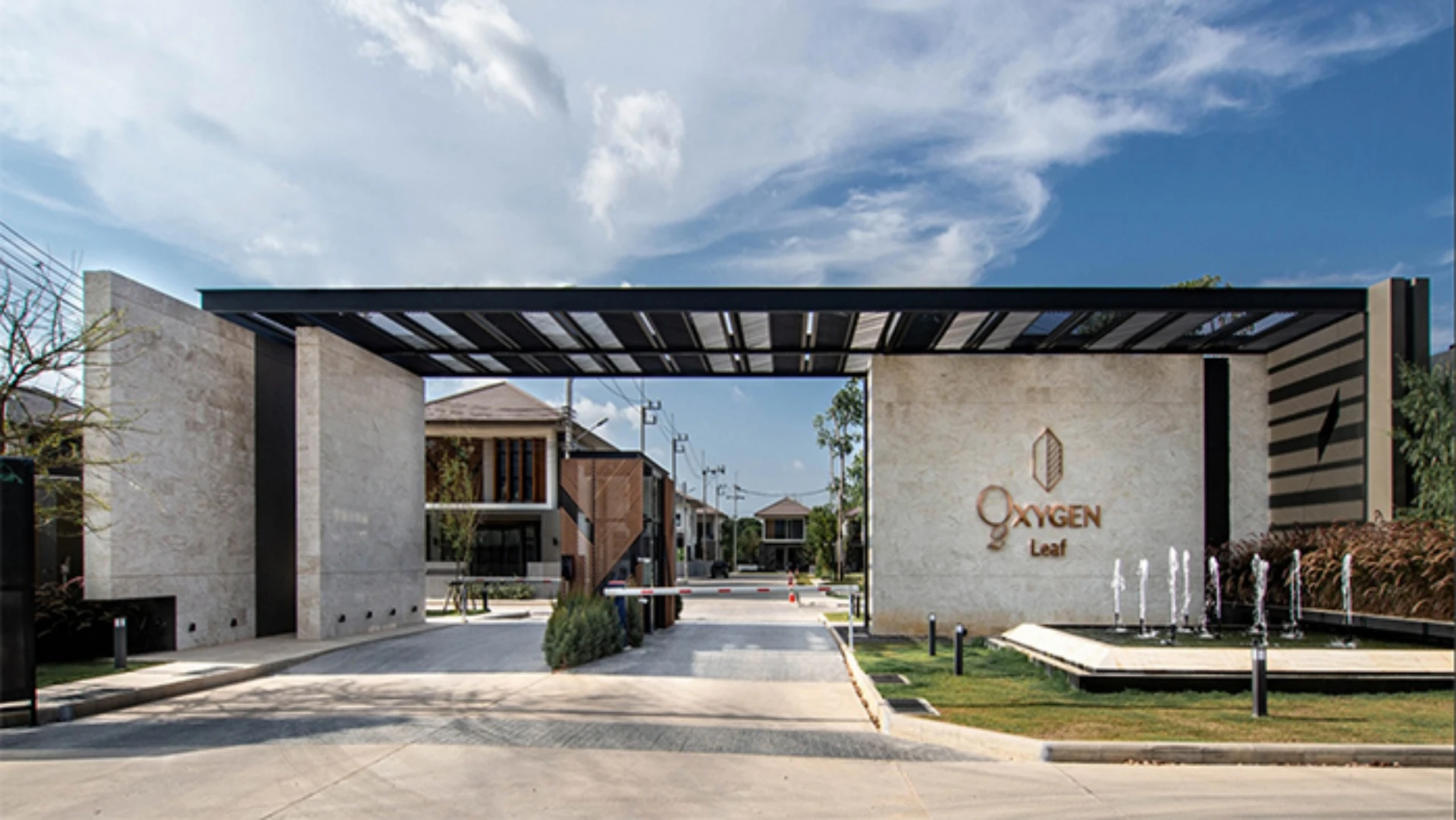 รูปภาพ ออกซิเจน ลีฟ (Oxygen Leaf)