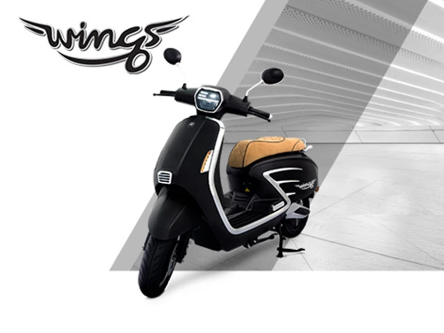 H SEM Wings เอช เซม 