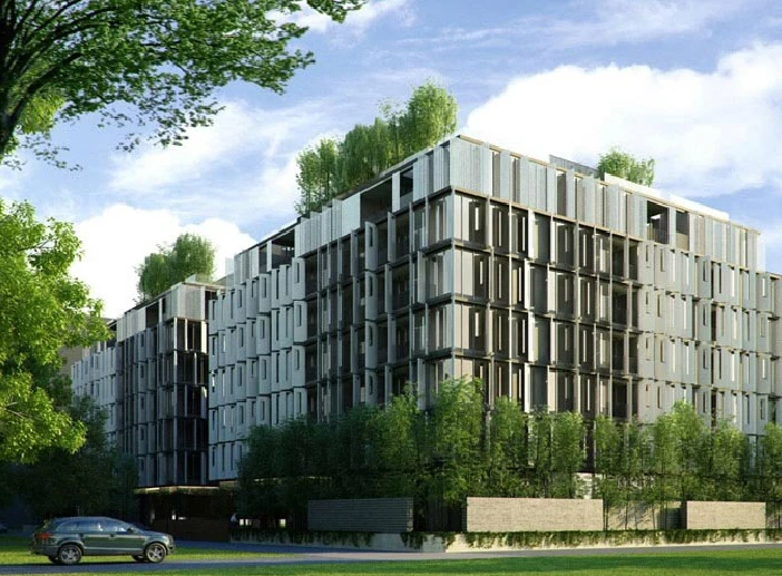 รูปภาพ ไซมิส จอยญ่า (Siamese Gioia)