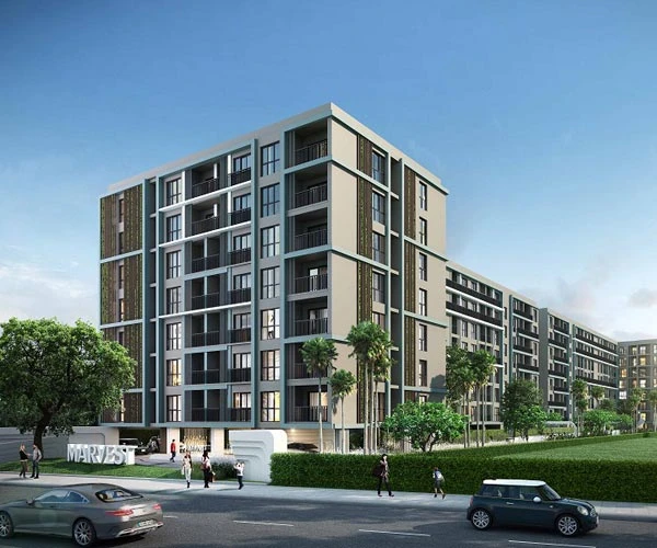 มาร์เวสท์ เมเจอร์ ดีเวลลอปเม้นท์