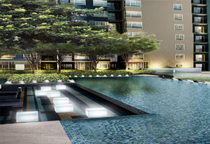 คนดูเยอะที่สุดในเว็บ Checkraka.com - เดอะ เบส สุขุมวิท 77