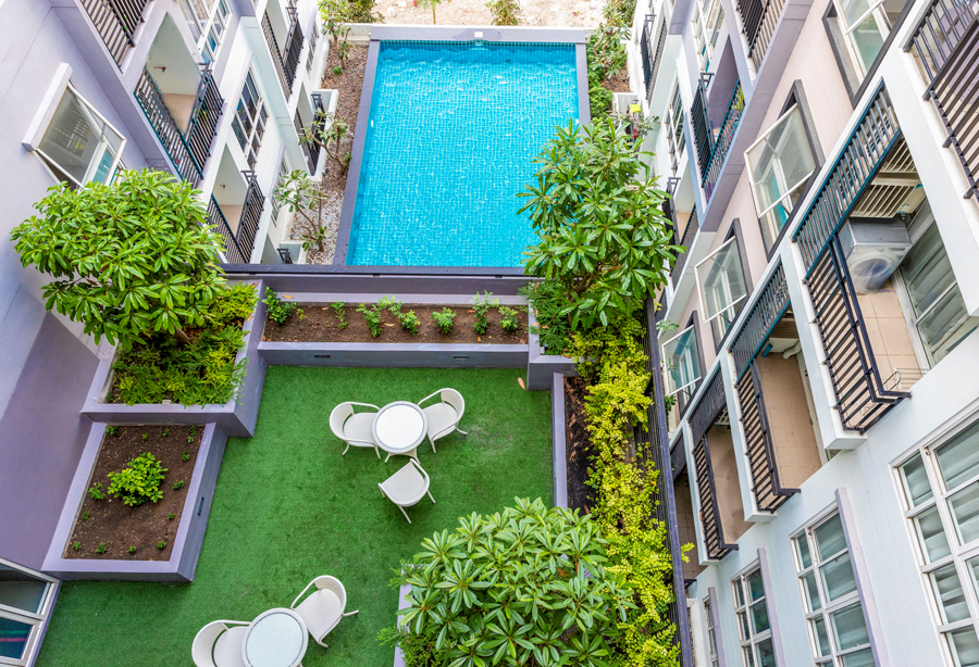 ไวโอ แคราย - แอสเซทไฟว์ดีเวลลอปเม้นท์